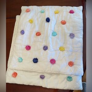 Pottery Barn Euro Shams set of 2